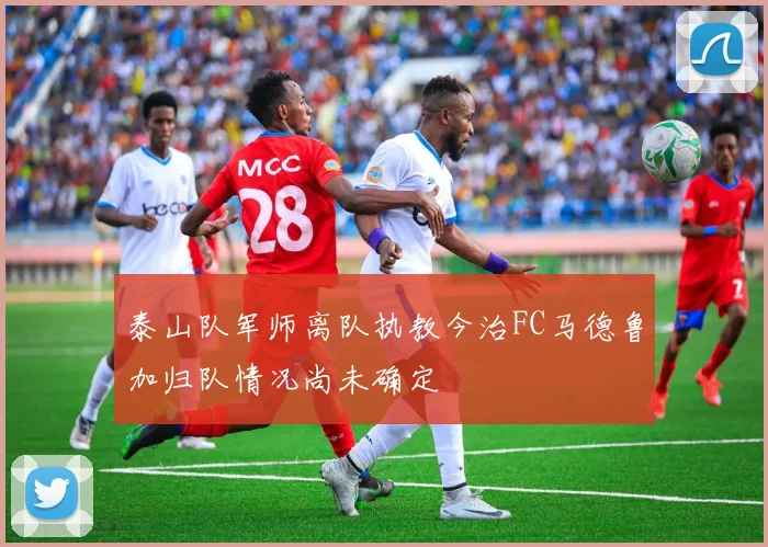 泰山队军师离队执教今治FC马德鲁加归队情况尚未确定
